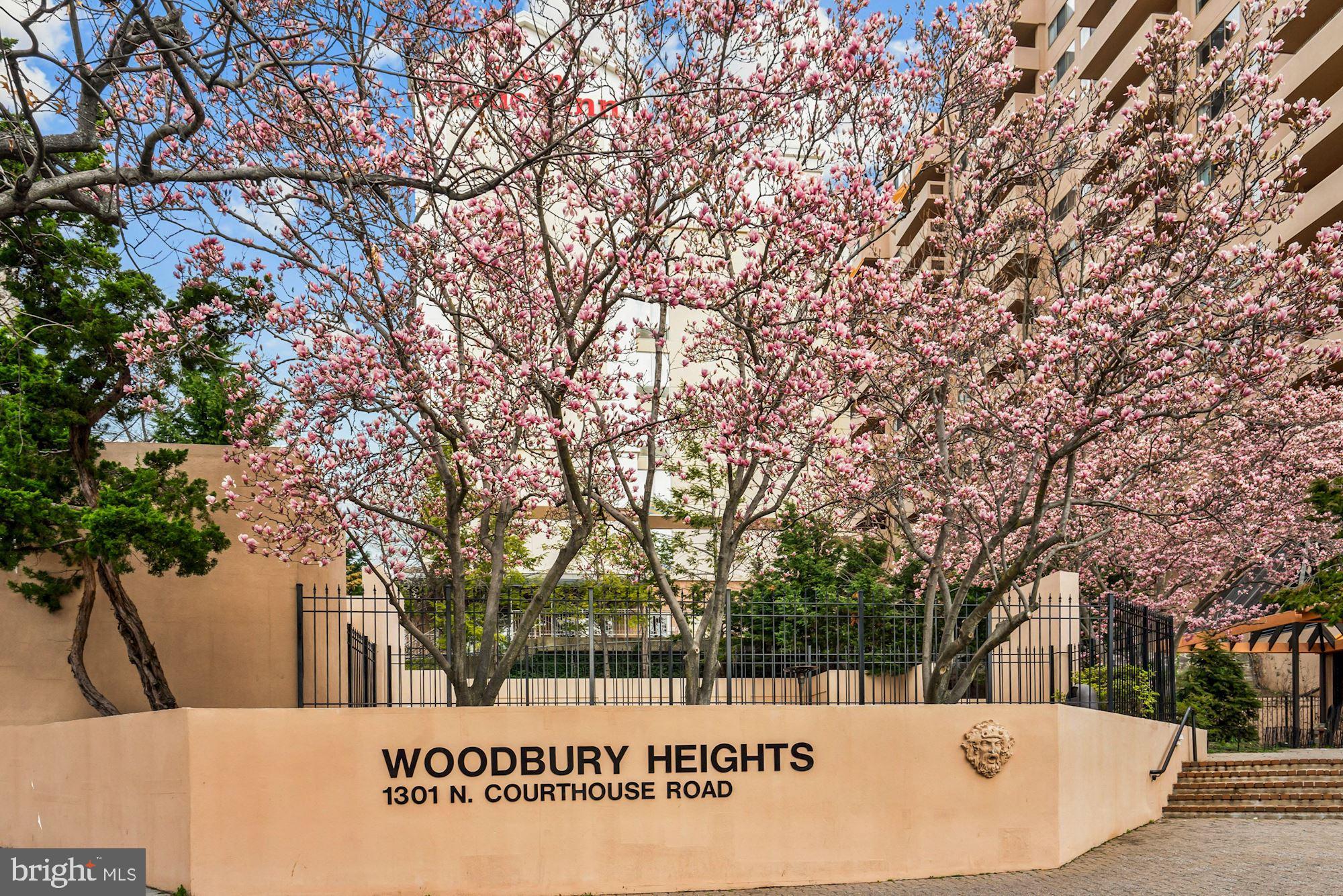 1301 North Courthouse Road, Unit 801 Arlington, VA 22201 - Photo 3 of 31 Woodbury Heights Condominium