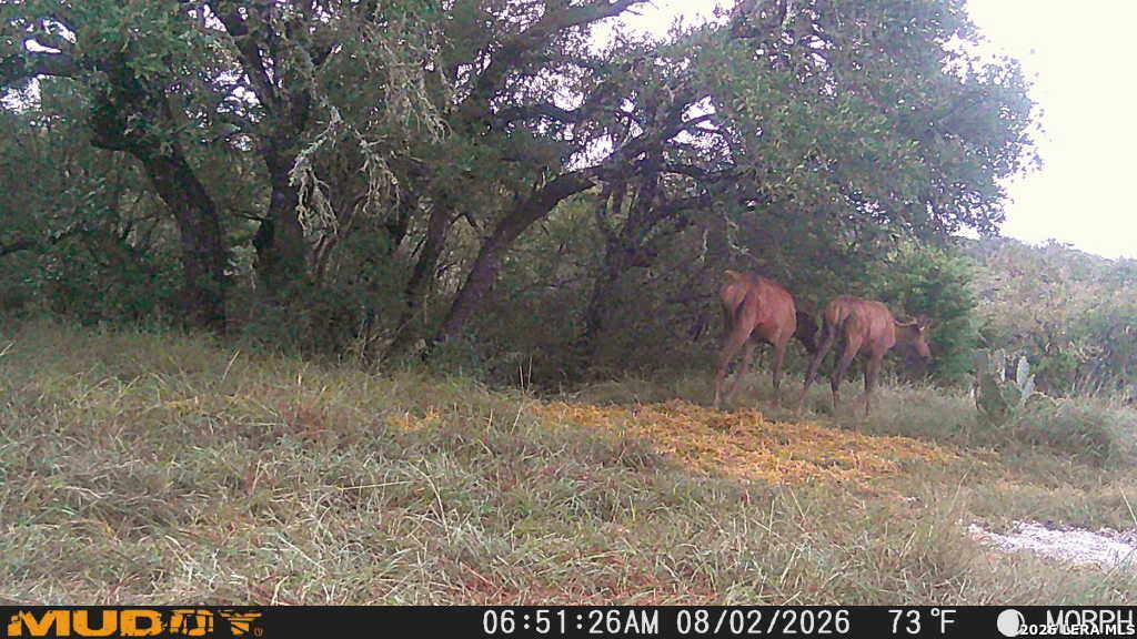 76 Alamo Ranch Rocksprings, TX 78880 - Photo 23 of 37 Gallery Image 23