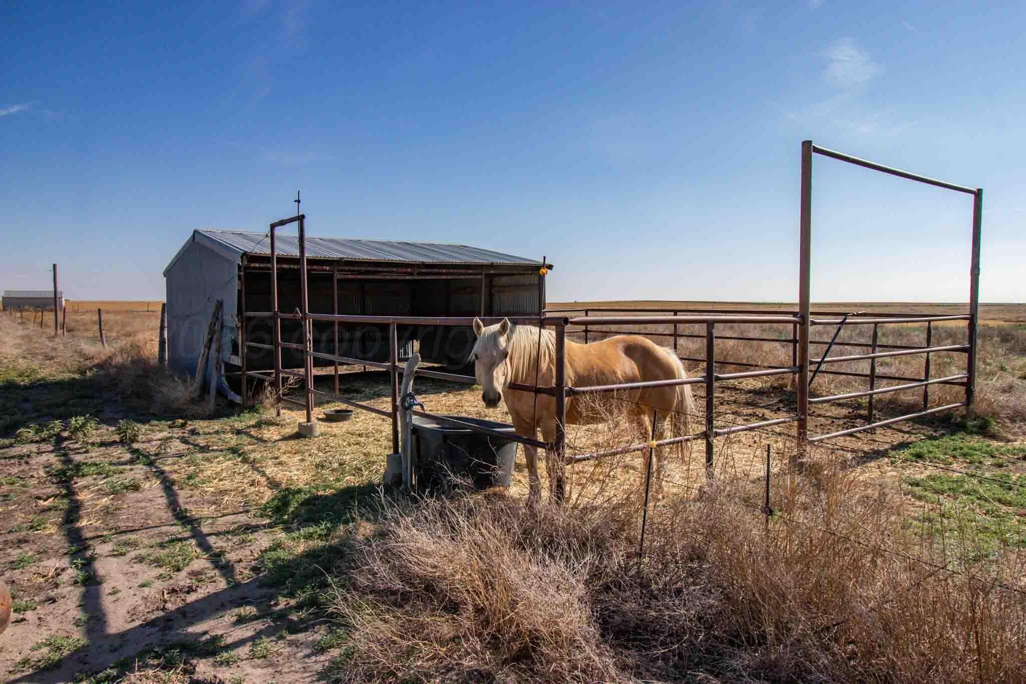 Baskin Ranch Stratford, TX 79084 - Photo 67 of 81 Baskin_Ranch-67