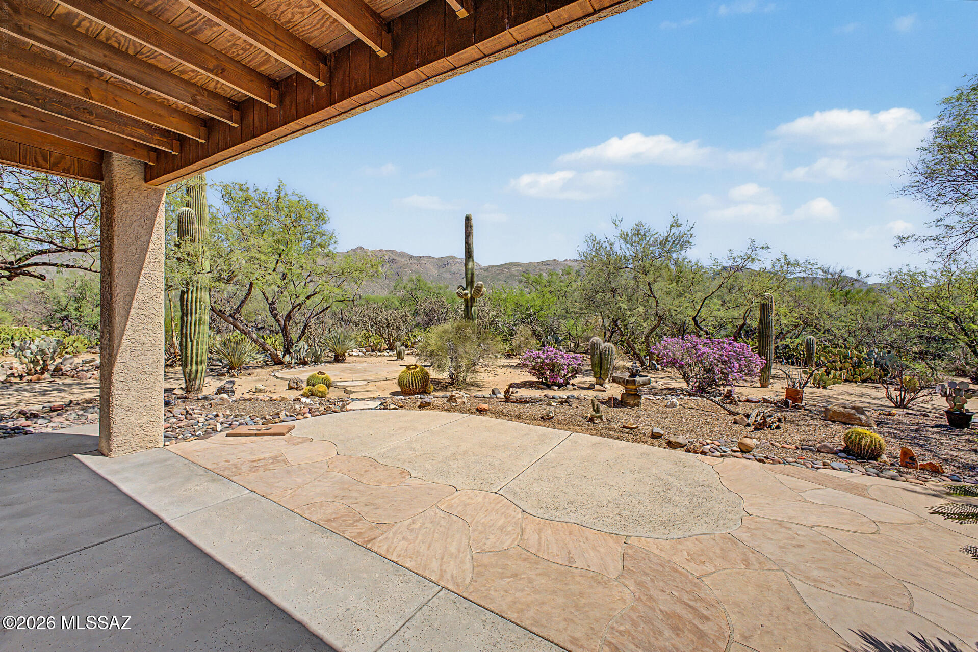 11743 East Limberlost Road Tucson, AZ 85749 - Photo 37 of 43 Back Patio