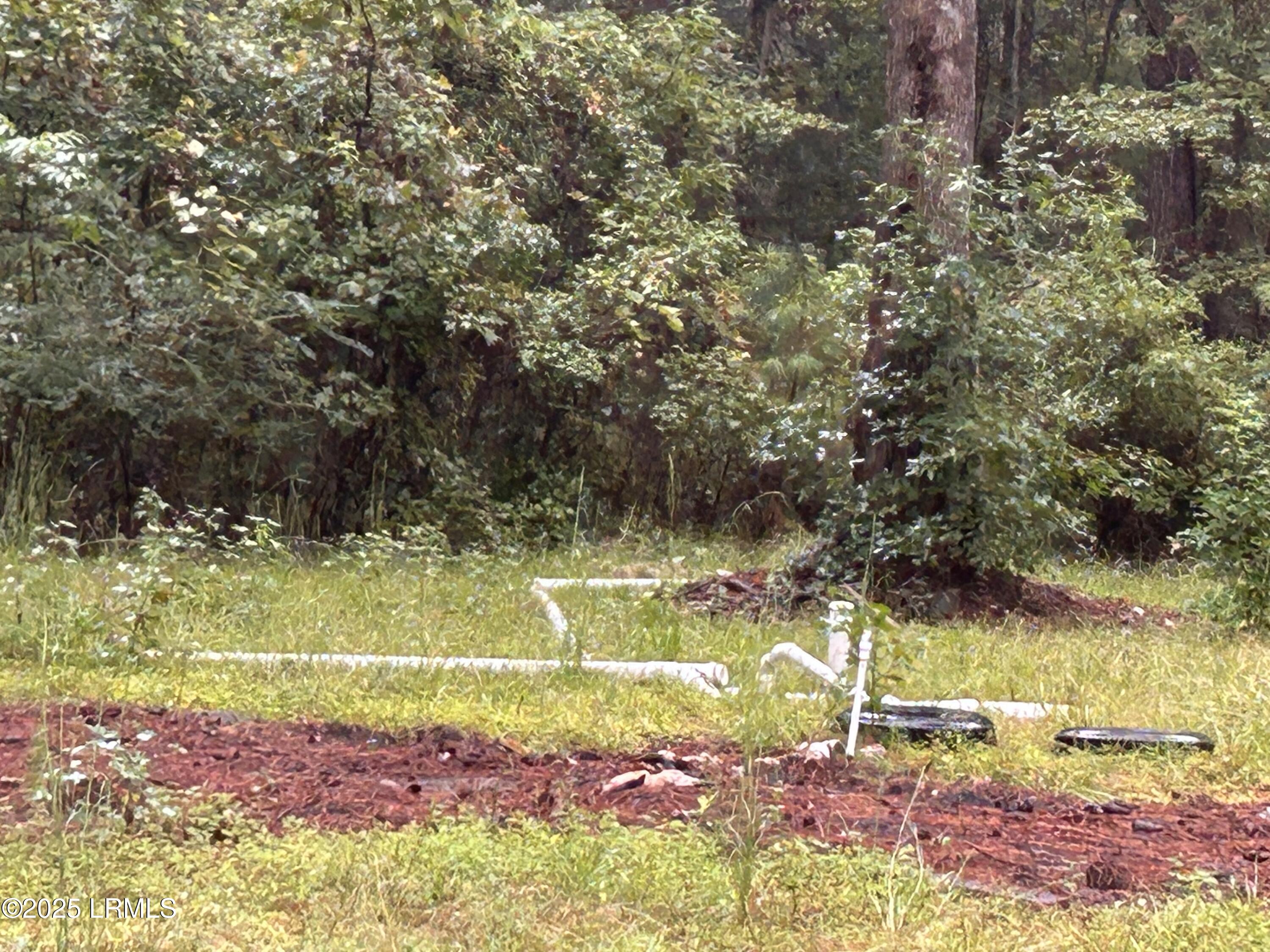 29 State Rd S-7-769 Seabrook, SC 29940 - Photo 2 of 8 IMG_1426