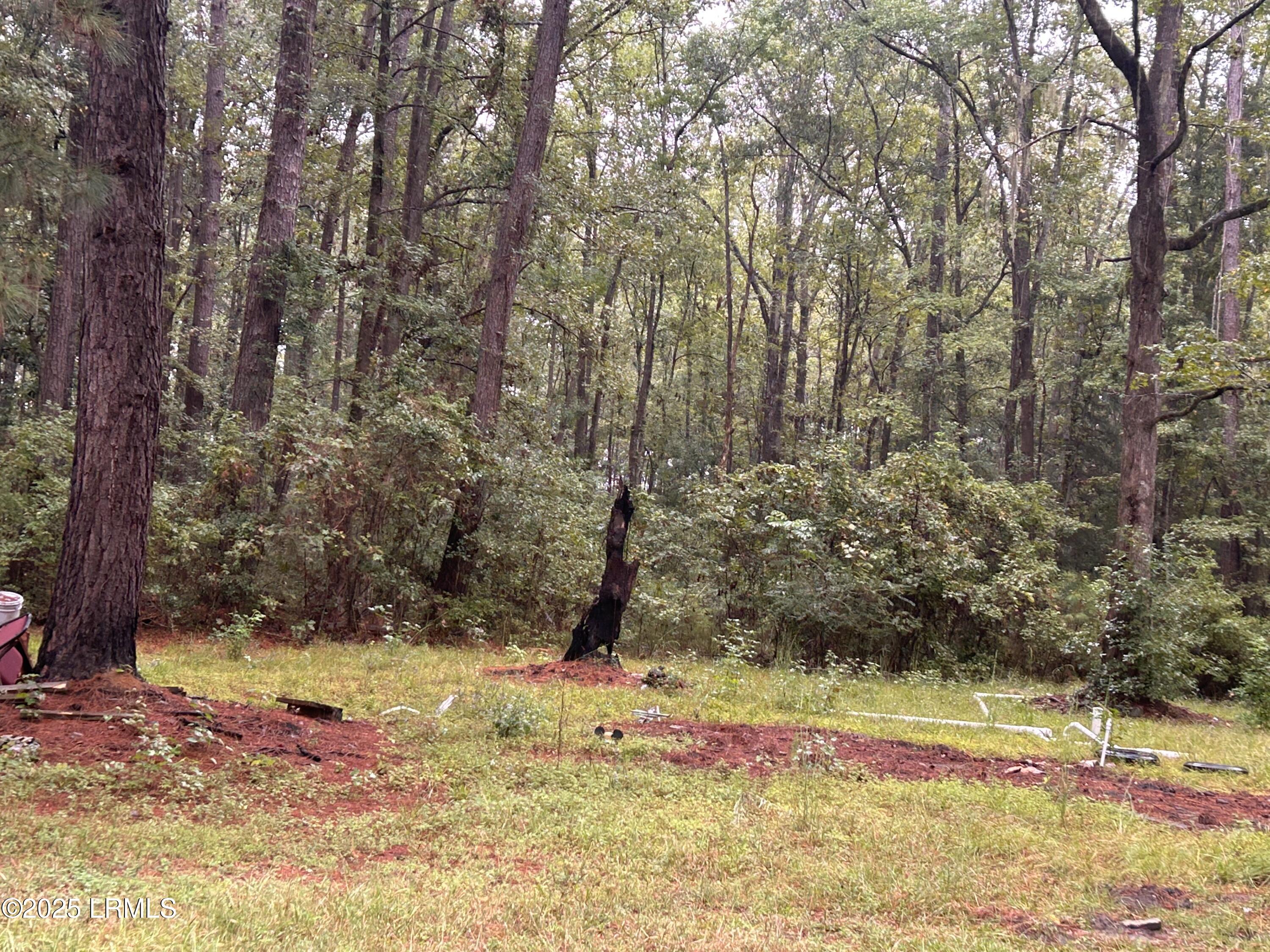 29 State Rd S-7-769 Seabrook, SC 29940 - Photo 5 of 8 IMG_1425