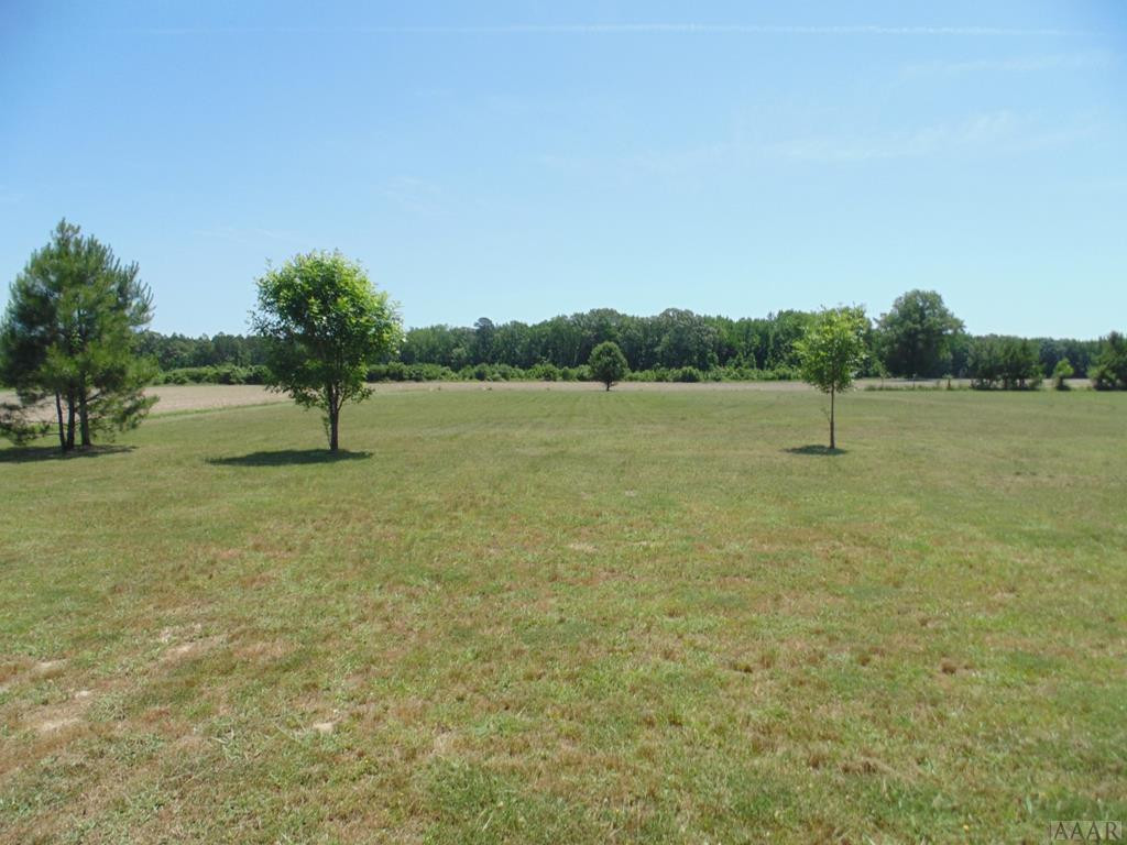 949 Middle Swamp Road Corapeake, NC 27926 - Photo 8 of 8 YARD