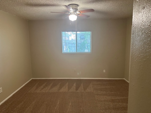 6912 Branchwood Drive, Unit B Austin, TX 78744 - Photo 8 of 11 a view of an empty room with a window