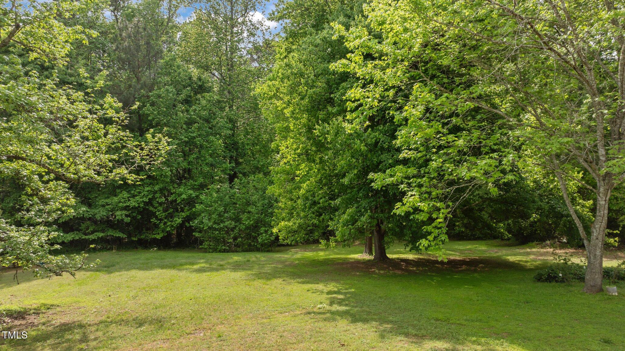 160 Fox Run Road Youngsville, NC 27596 - Photo 42 of 48 Backyard