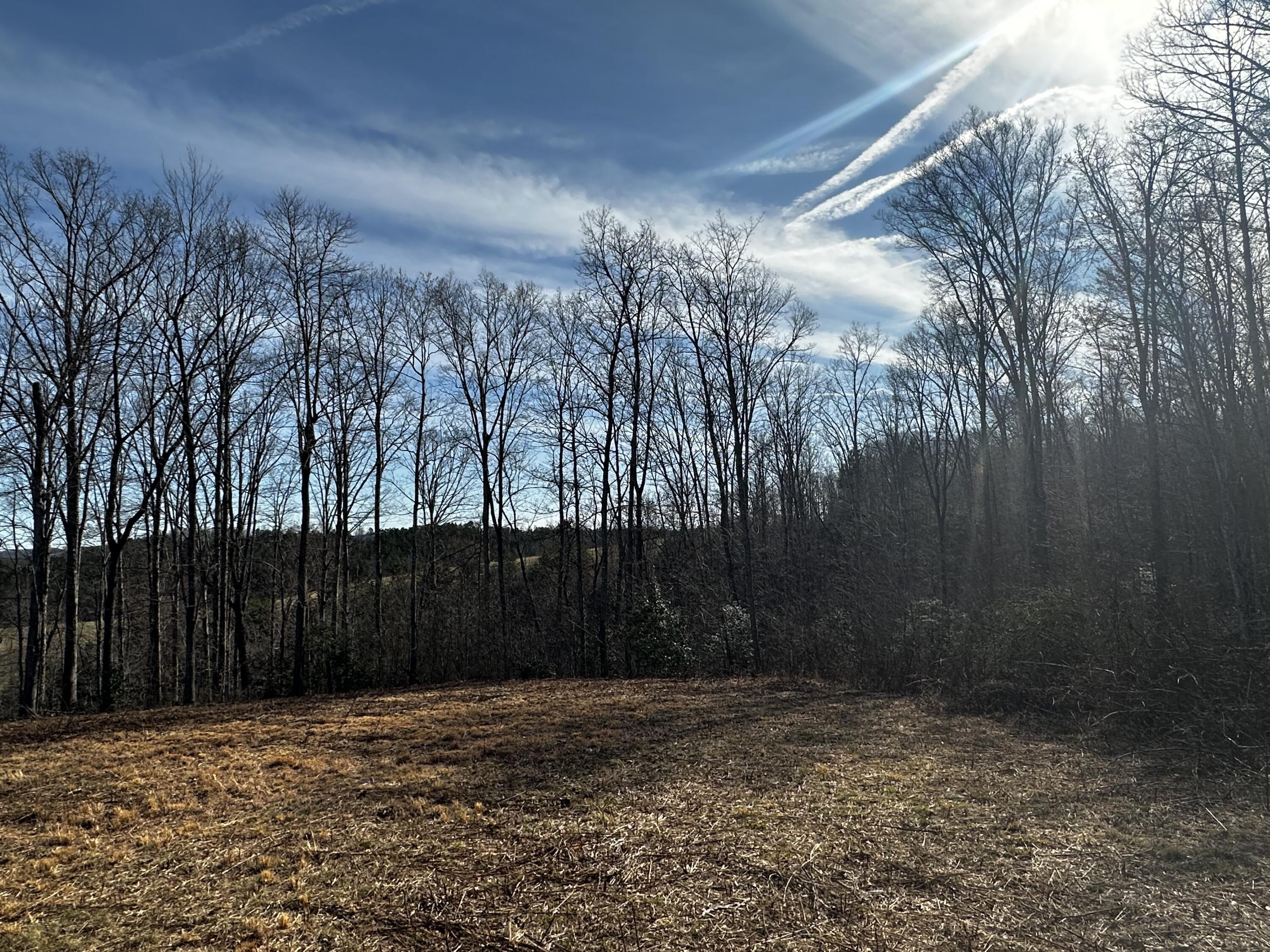 9999 Logan Road Corbin, KY 40701 - Photo 22 of 25 IMG_8845