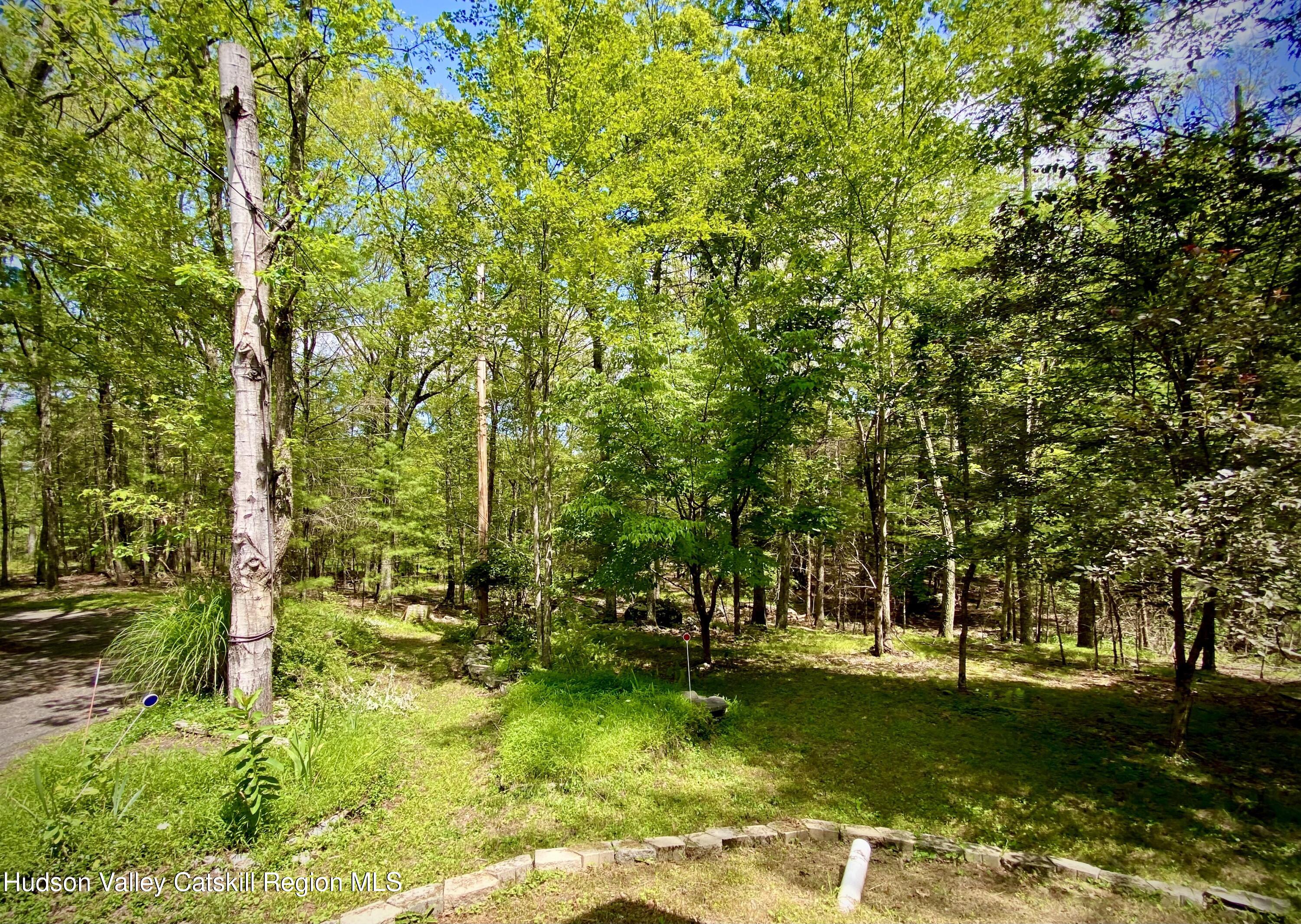 673 Lapla Road Kingston, NY 12401 - Photo 4 of 16 Cavanagh5