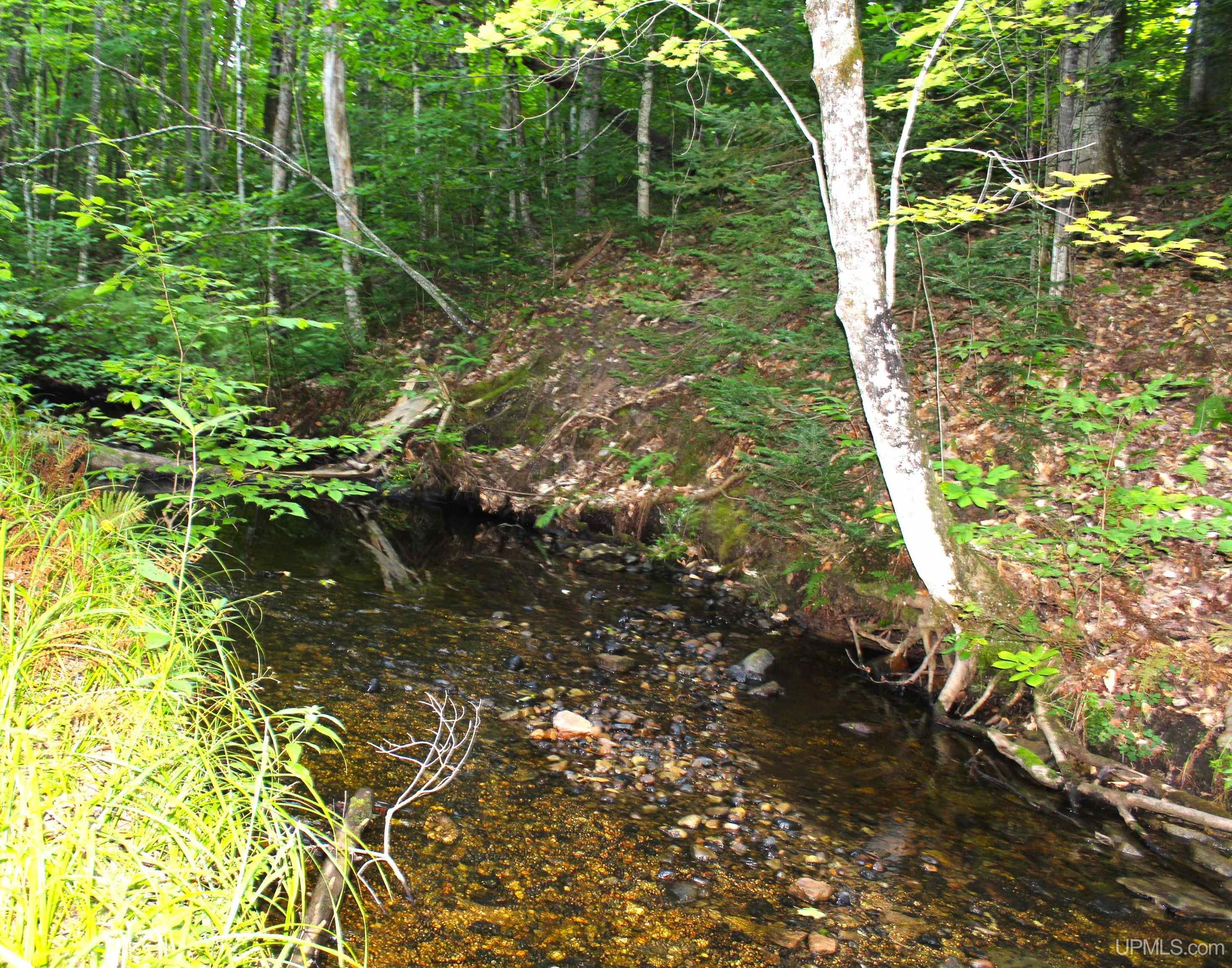 On East Shingleton Road Shingleton, MI 49884 - Photo 8 of 32