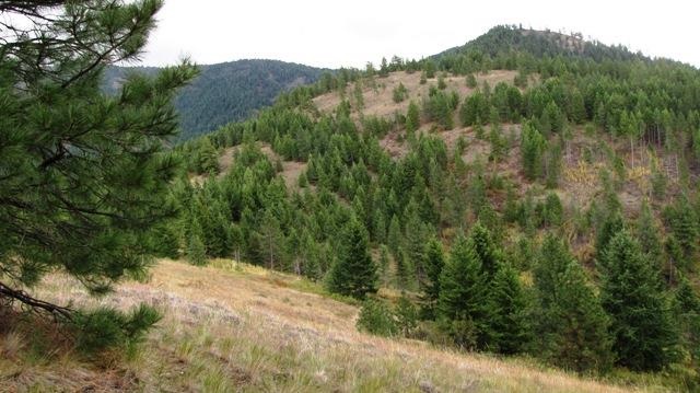 2967 X Marx Road Rice, WA 99167 - Photo 2 of 19