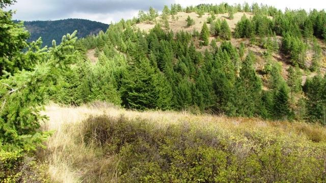 2967 X Marx Road Rice, WA 99167 - Photo 11 of 19