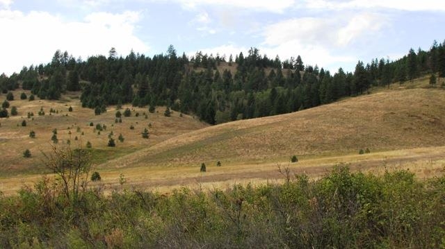 2967 X Marx Road Rice, WA 99167 - Photo 17 of 19