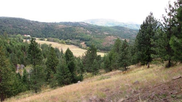 2967 X Marx Road Rice, WA 99167 - Photo 18 of 19
