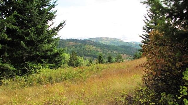 2967 X Marx Road Rice, WA 99167 - Photo 4 of 19