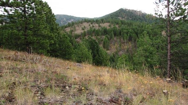 2967 X Marx Road Rice, WA 99167 - Photo 10 of 19