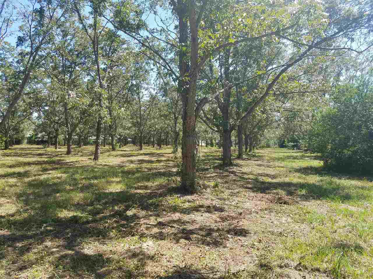 0 West Peachtree Avenue Foley, AL 36535 - Photo 3 of 9