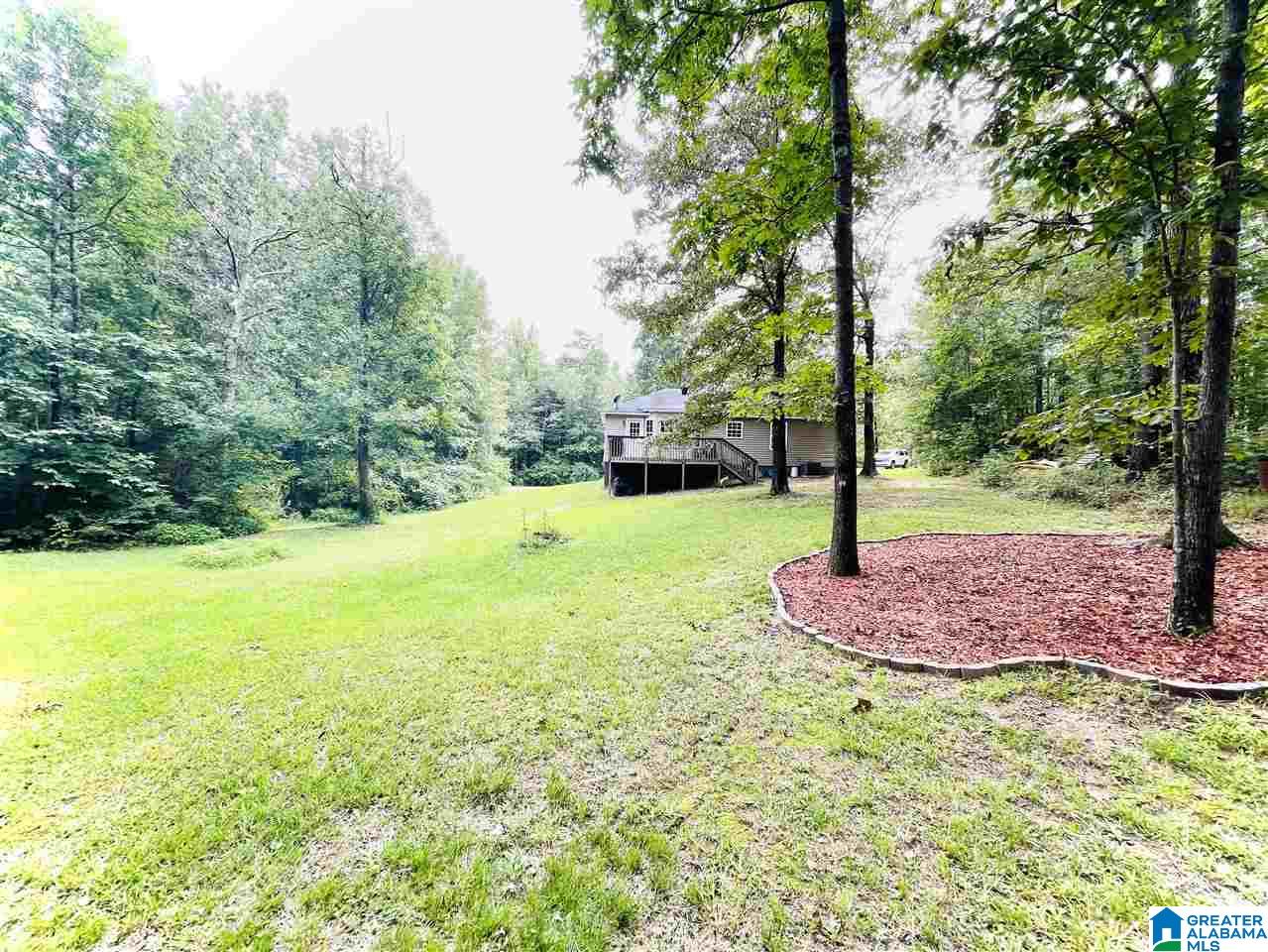 2407 Evergreen Road Springville, AL 35146 - Photo 22 of 23