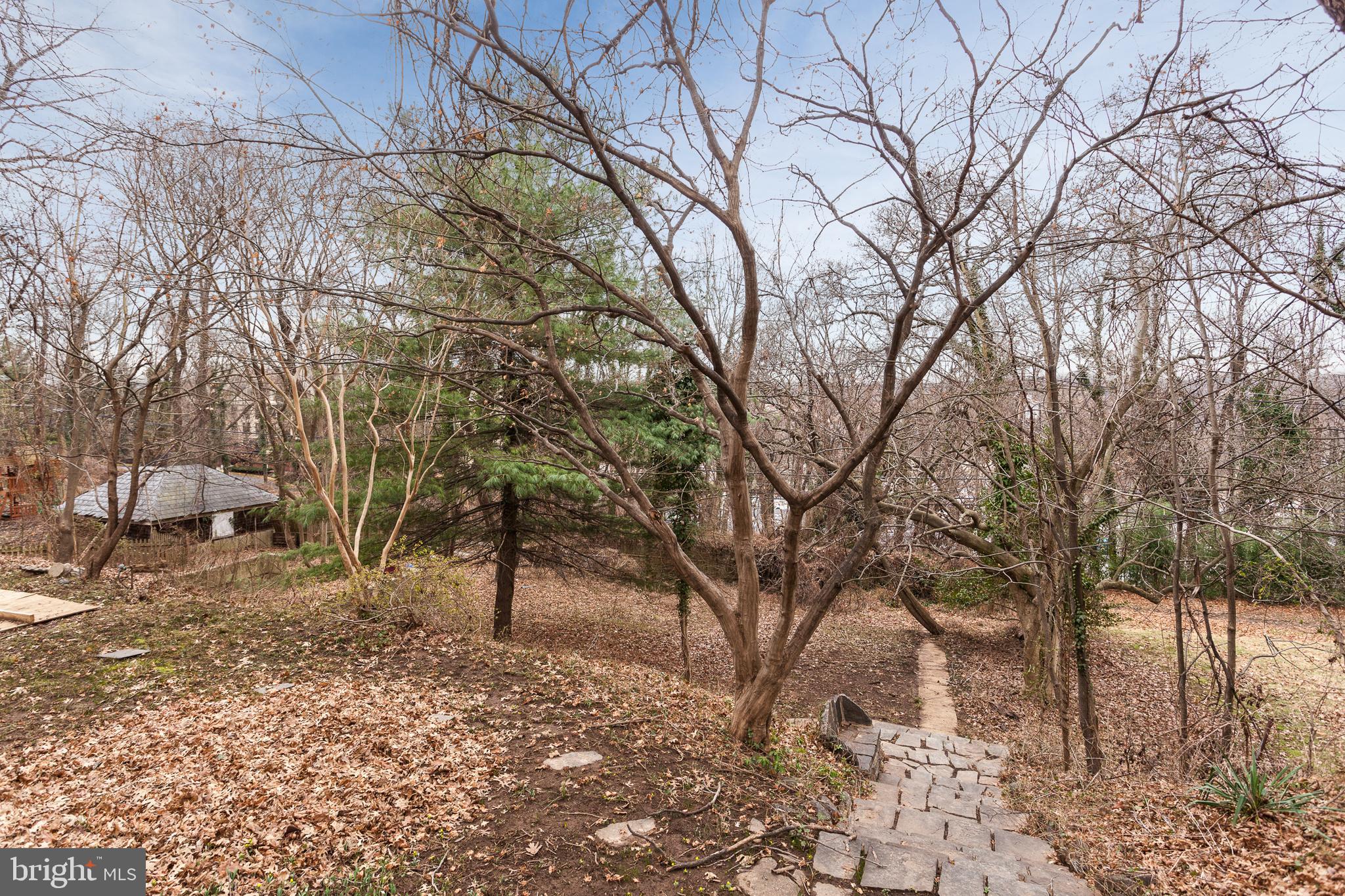 116 Ridgewood Road Baltimore, MD 21210 - Photo 33 of 34 Exterior (Basement not shown)
