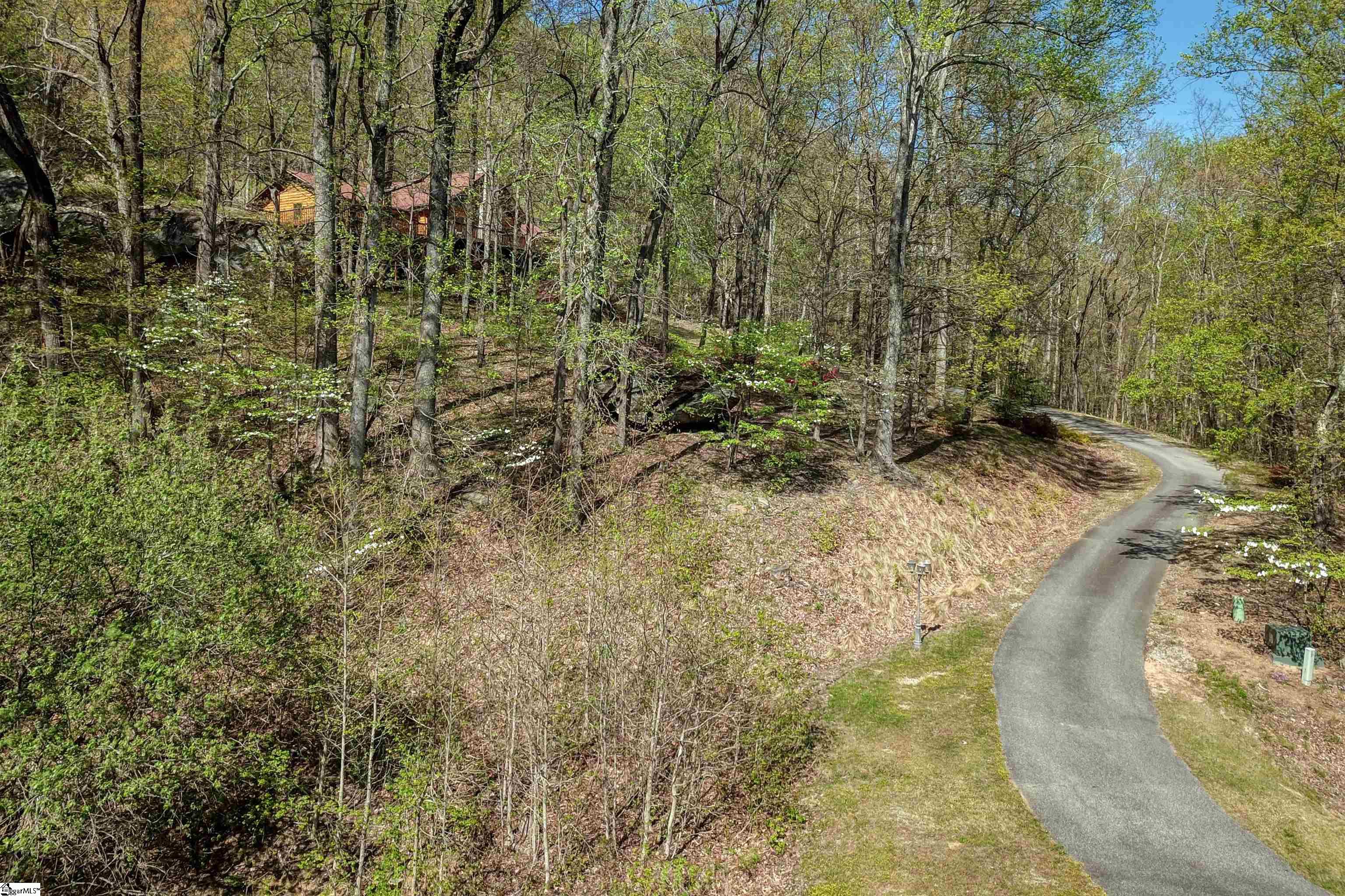 804 Plumley Summit Road Landrum, SC 29356 - Photo 4 of 36