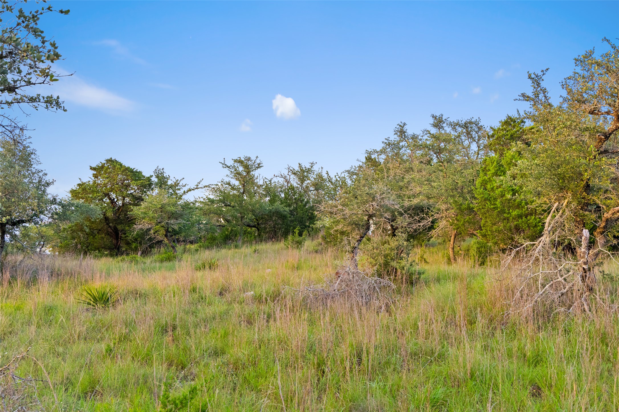 31890 Mirela Ann Road Dripping Springs, TX 78620 - Photo 10 of 13