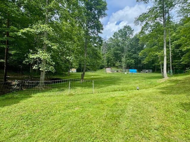281 Craig Branch Road Olive Hill, KY 41164 - Photo 26 of 27