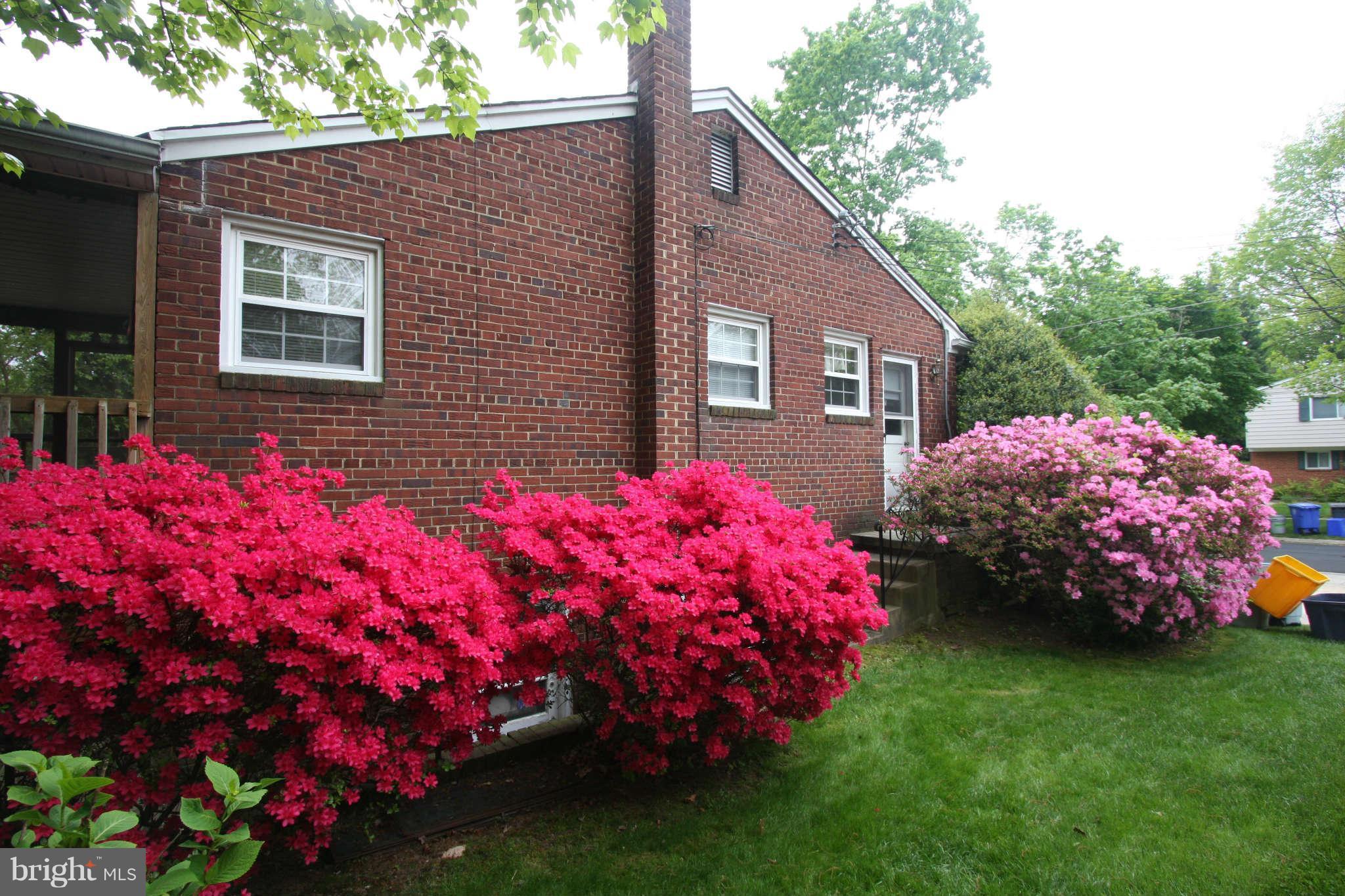 404 Hannes Street Silver Spring, MD 20901 - Photo 21 of 22 Exterior (General)