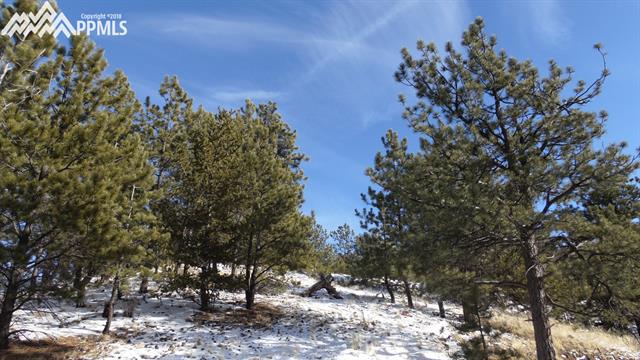 370 Wagonwheel Road Guffey, CO 80820 - Photo 35 of 35 Gallery Image 35