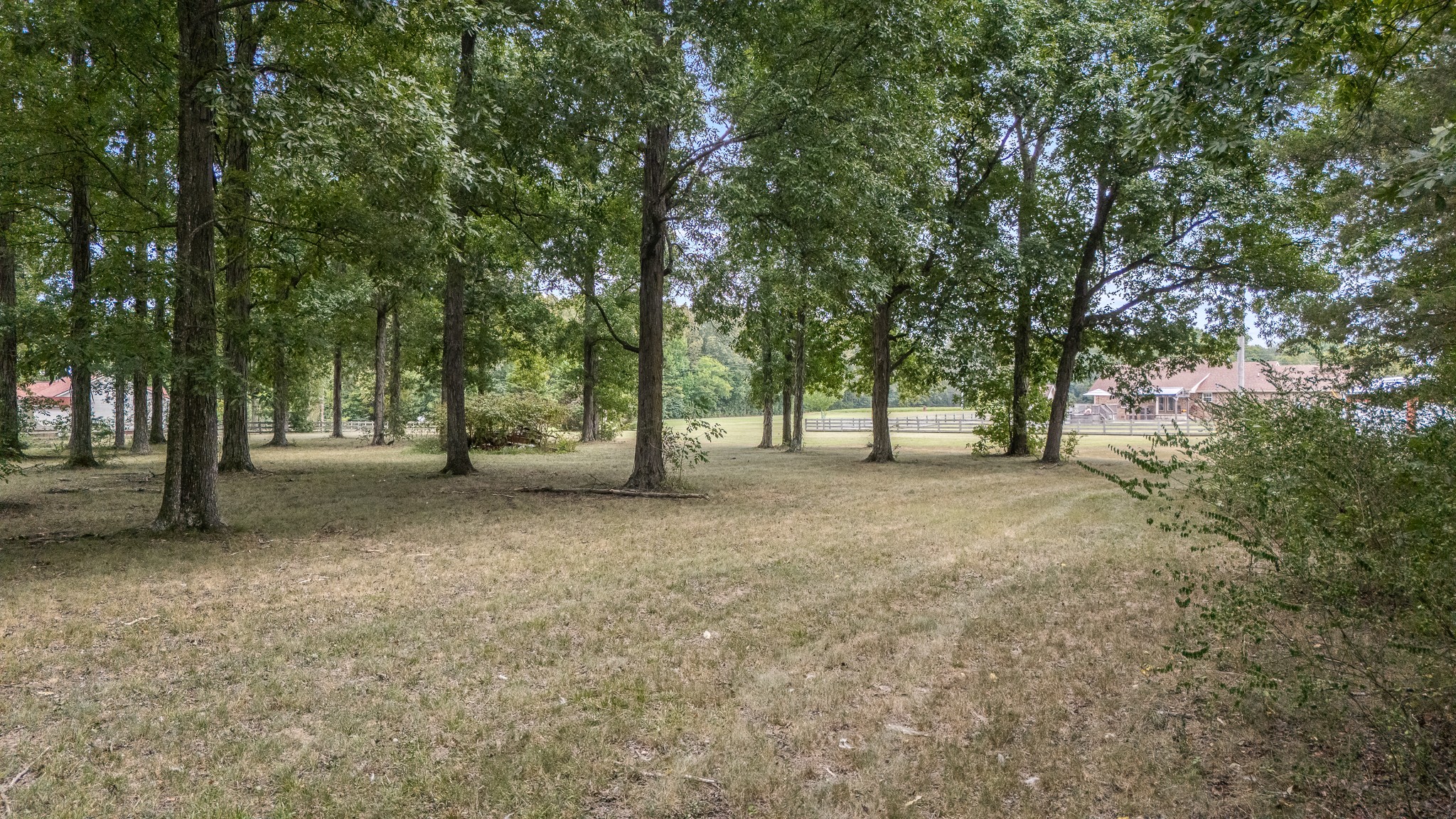 223 Rich Road Unionville, TN 37180 - Photo 70 of 84 Gallery Image 70