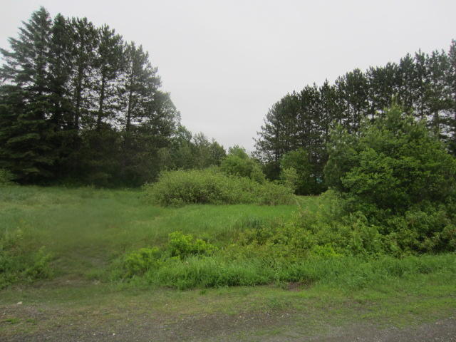 0 Lake Shore Road St. David, ME 04773 - Photo 2 of 5 IMG_7446