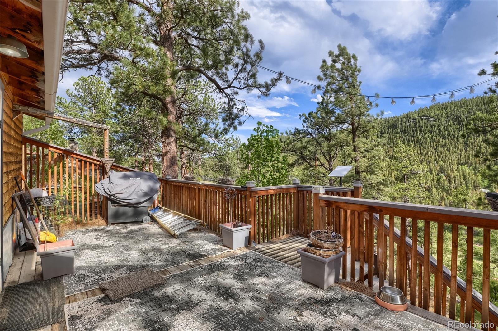 226 Hall Road Bailey, CO 80421 - Photo 21 of 39