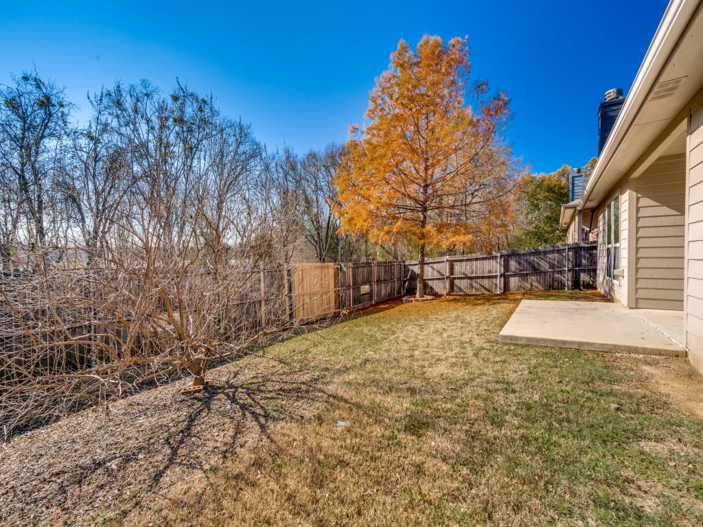 2313 Luscombe Lane Anna, TX 75409 - Photo 24 of 30 a view of yard with tree