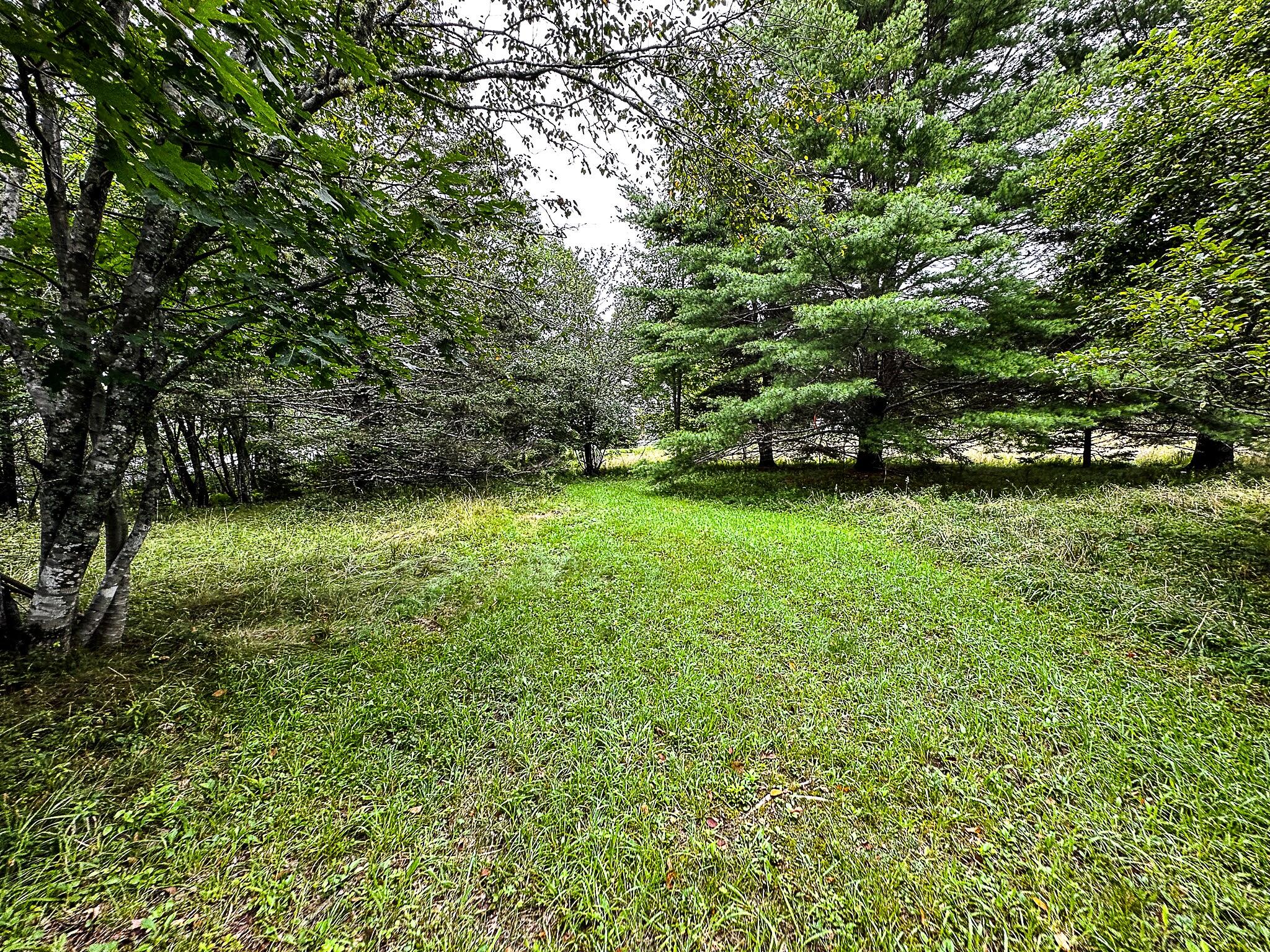 1319 Newbury Neck Road Surry, ME 04684 - Photo 63 of 68 40 ft. ROW to shore & bay.