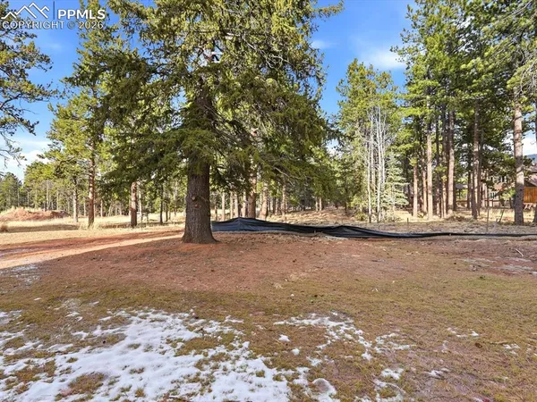 $1,150,000 | 1308 Stone Ridge Drive, Woodland Park, CO 80863