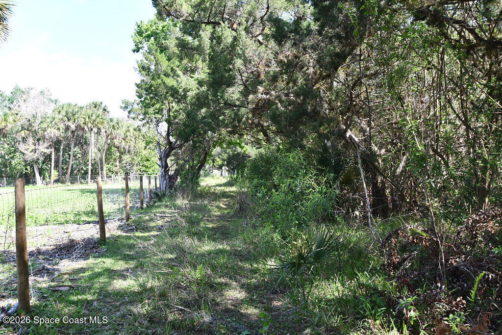 455 East Hall Road Merritt Island, FL 32953 - Photo 3 of 35 DSC_0866