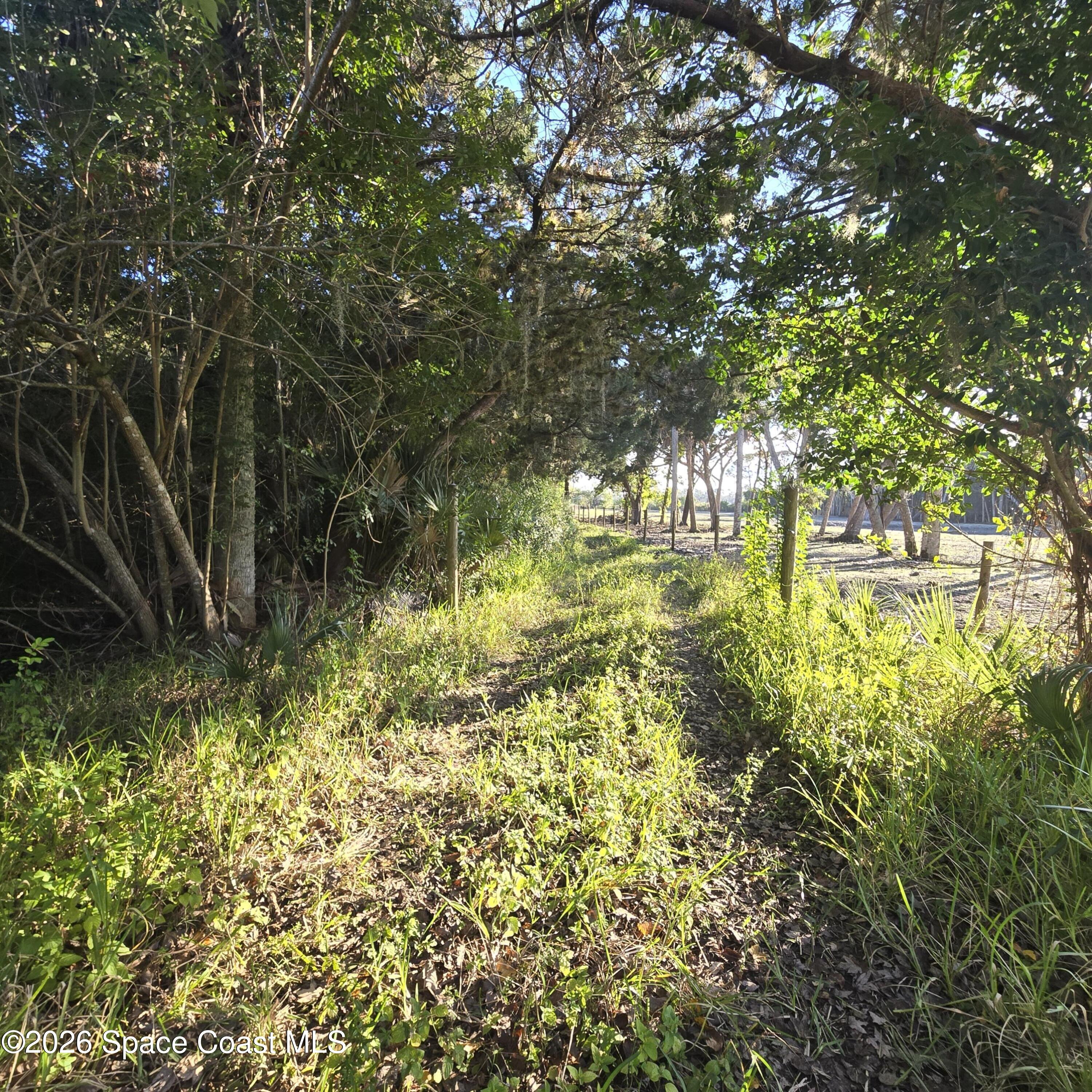 455 East Hall Road Merritt Island, FL 32953 - Photo 32 of 35 20260106_160920