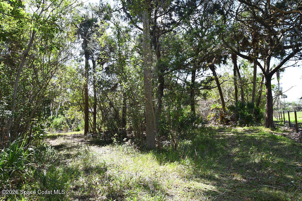 455 East Hall Road Merritt Island, FL 32953 - Photo 4 of 35 DSC_0868