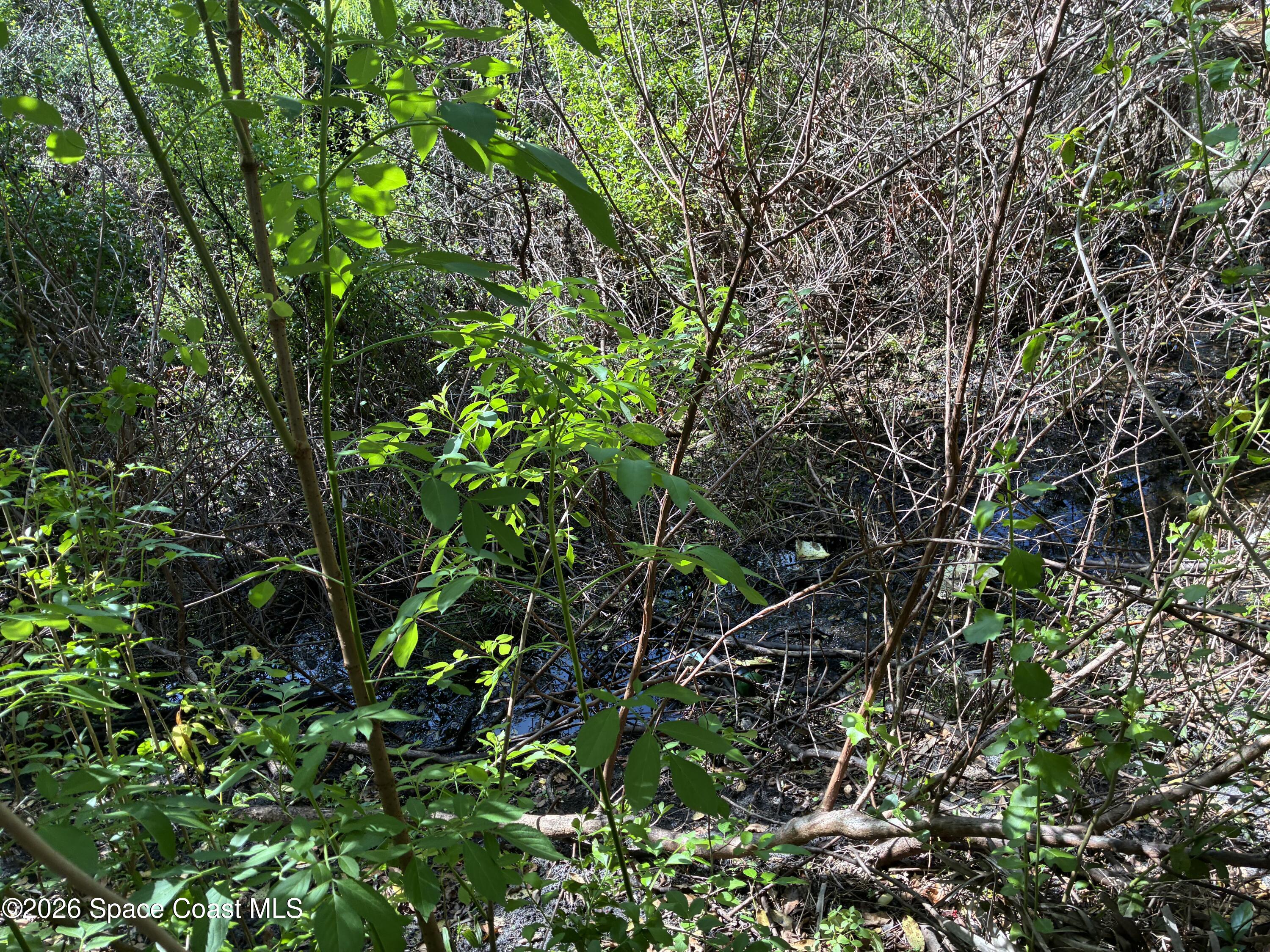 455 East Hall Road Merritt Island, FL 32953 - Photo 6 of 35 IMG_20260331_062030 (8)