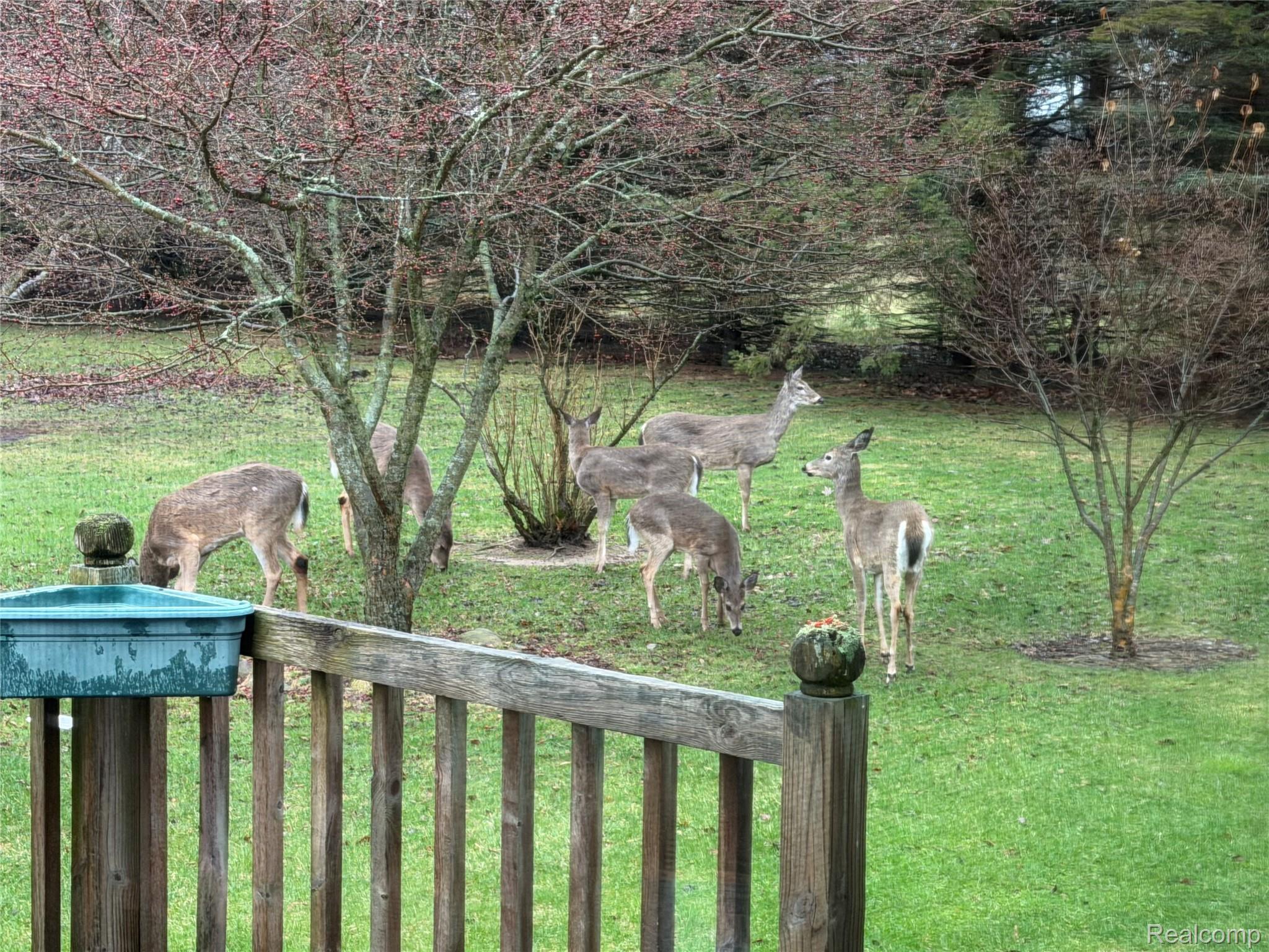 6882 Jones Road North Branch, MI 48461 - Photo 56 of 64 Taken during open house