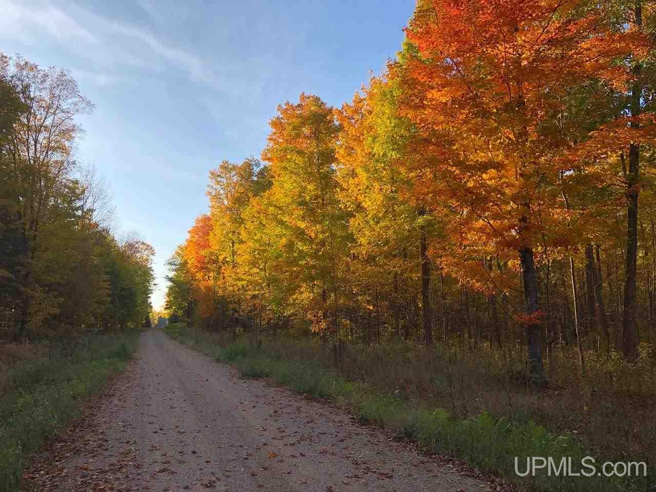 13281 Church P.1 Road Rapid River, MI 49878 - Photo 12 of 23