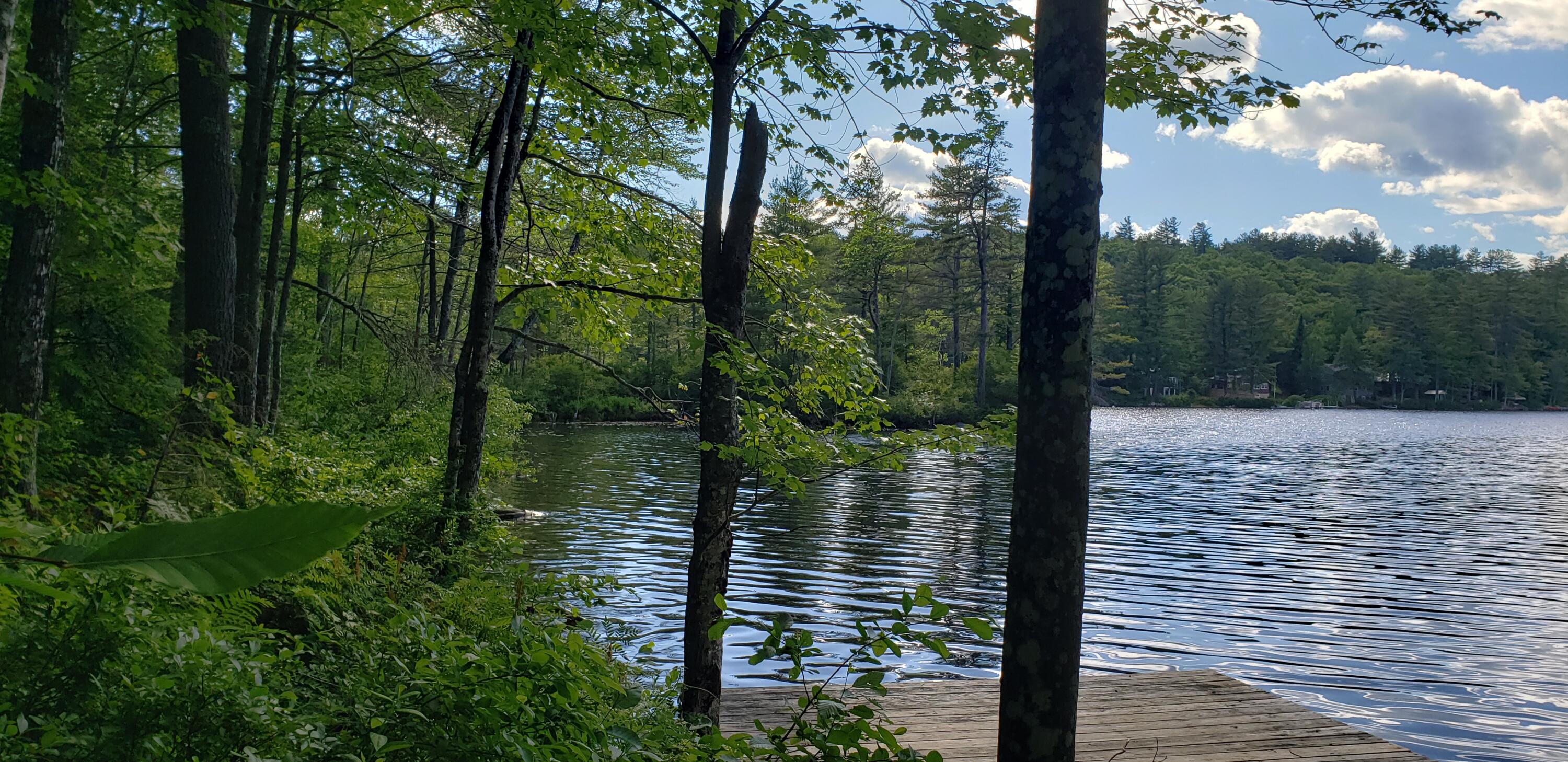0 Whites Road Sebago, ME 04029 - Photo 3 of 3 20220624_164814