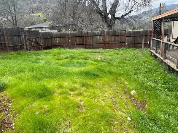 a view of yard with large trees and wooden fence
