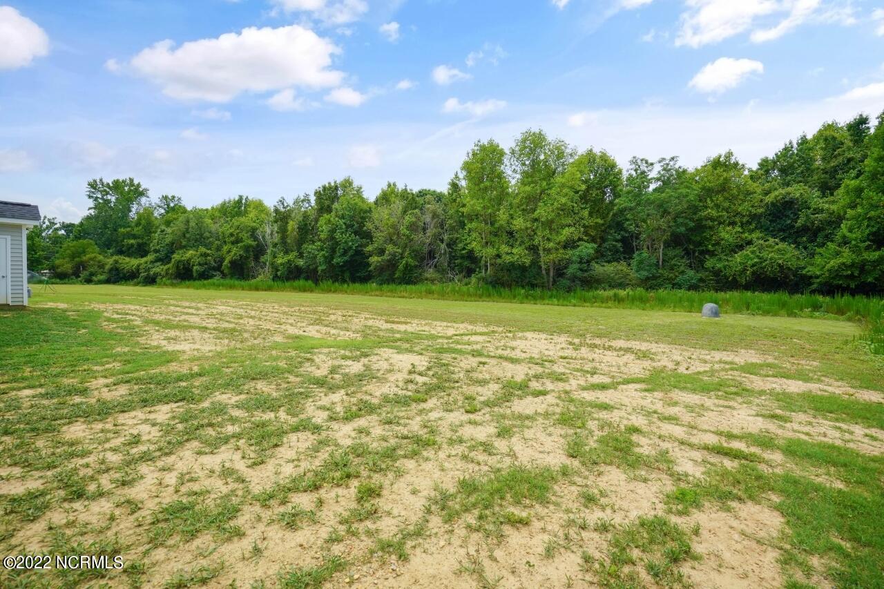 5338 St Rose Church Road Sims, NC 27880 - Photo 29 of 32 Back Yard