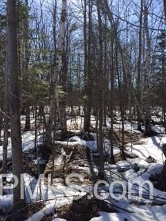 Tbd McNeil Road Baraga, MI 49908 - Photo 1 of 10 Gallery Image 1