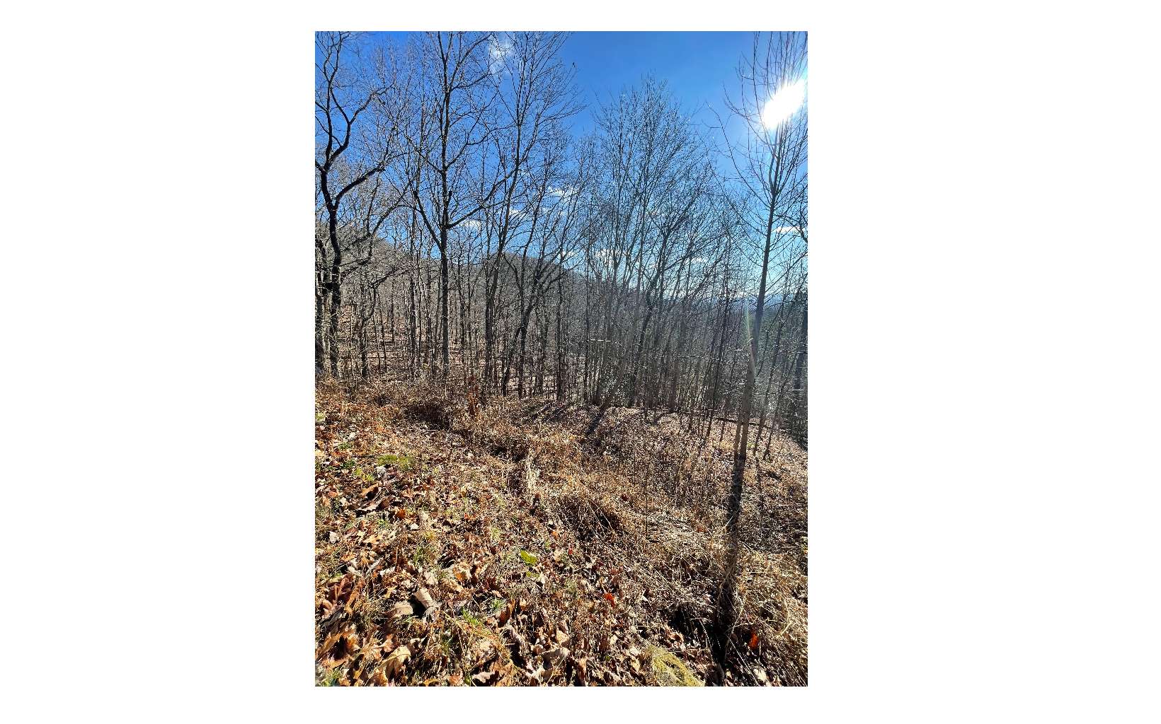 45-51 Wolf Mountain Road Murphy, NC 28906 - Photo 6 of 6 Additional View