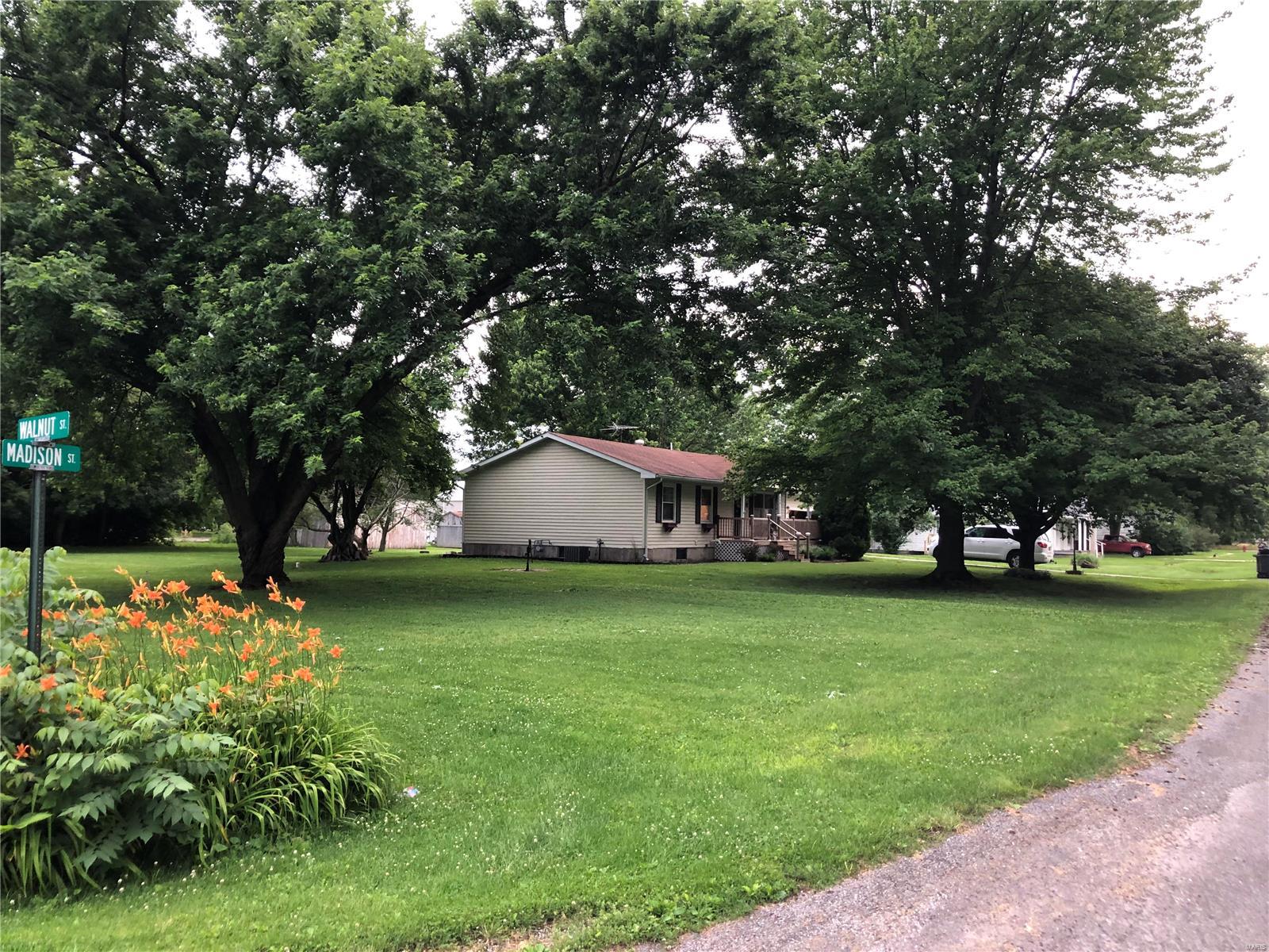 606 Madison Street Kane, IL 62054 - Photo 2 of 45