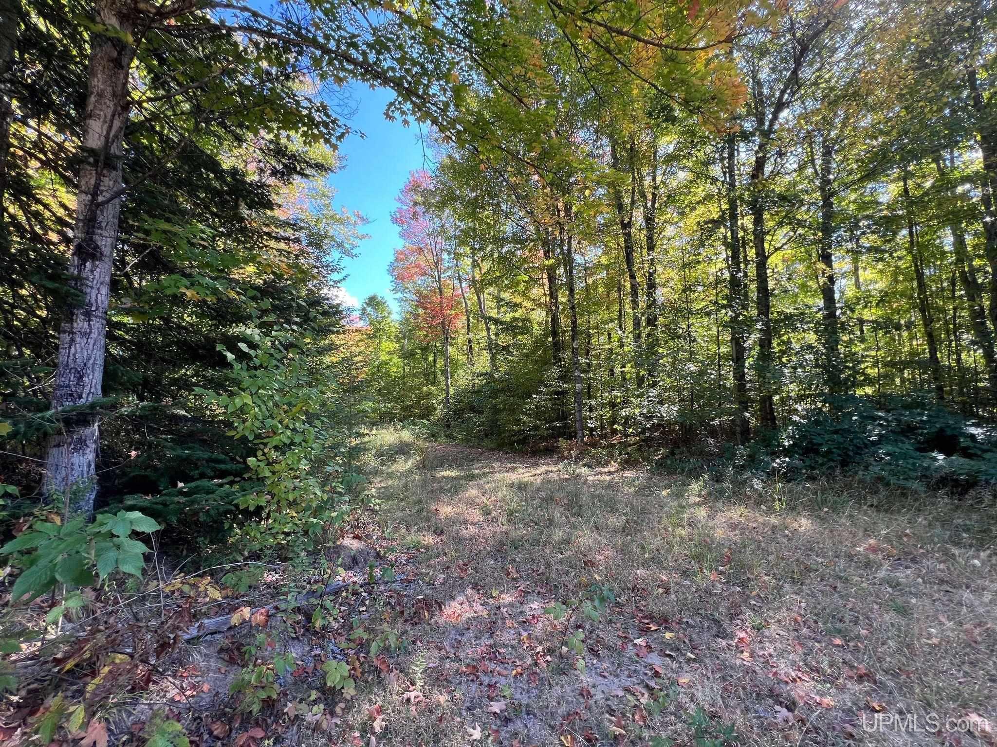 Off Usfs Trail, Unit 2440 Wetmore, MI 49895 - Photo 11 of 34