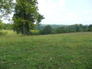 209 Talmo Road Cumberland Furnace, TN 37051 - Photo 12 of 14 Gallery Image 12