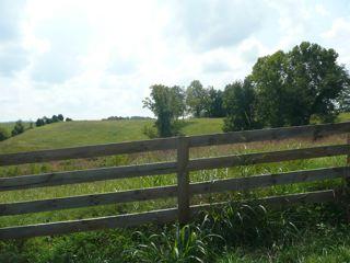 209 Talmo Road Cumberland Furnace, TN 37051 - Photo 13 of 14 Gallery Image 13
