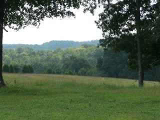 209 Talmo Road Cumberland Furnace, TN 37051 - Photo 4 of 14 Gallery Image 4