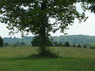 209 Talmo Road Cumberland Furnace, TN 37051 - Photo 5 of 14 Gallery Image 5