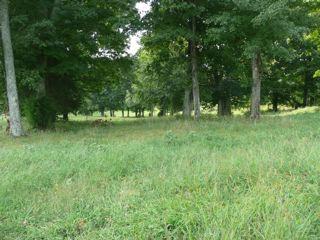 209 Talmo Road Cumberland Furnace, TN 37051 - Photo 10 of 14 Gallery Image 10